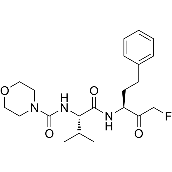 Calpain inhibitor V (Mu-Val-HPh-FMK) 912476-54-1